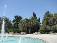 Fontanas ir palmių grožis Antalijoje